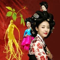 Hướng dẫn cách bảo quản và cách sử dụng nhân sâm để đạt hiệu quả cao