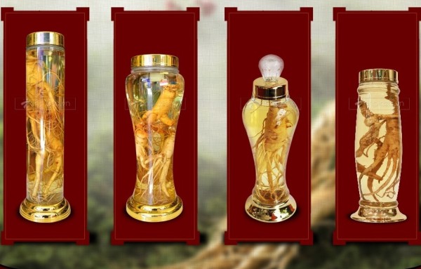 Rượu sâm Hàn Quốc có thực sự tốt cho sức khỏe hay không?