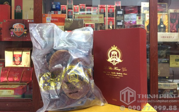 Nấm lim xanh là gì? Những công dụng chính của nấm lim xanh