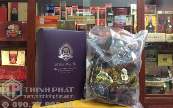 Công dụng nấm lim xanh, hướng dẫn cách bảo quản và sử dụng nấm lim xanh hiệu quả