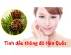 Tìm hiểu về tinh dầu thông đỏ Hàn Quốc, những công dụng, tác dụng tuyệt vời và cách sử dụng tốt nhất cho sức khỏe