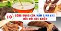 10 công dụng tuyệt vời của nấm linh chi đối với sức khỏe