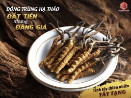 ĐÔNG TRÙNG HẠ THẢO QUÀ BIẾU ĐẲNG CẤP CHO NGƯỜI NHẬN ĐẲNG CẤP