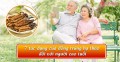 7 tác dụng tuyệt vời của đông trùng hạ thảo với người cao tuổi