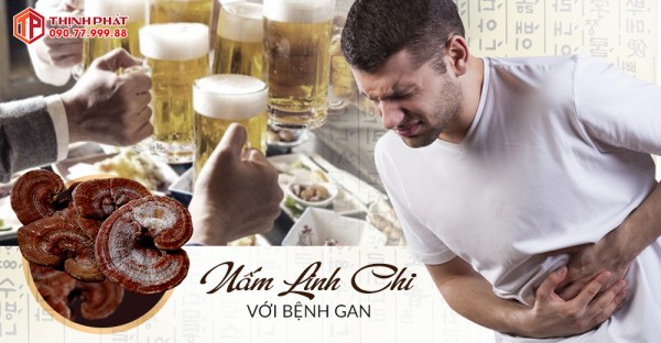 Tại sao nấm linh chi được khuyên dùng cho người bệnh gan?