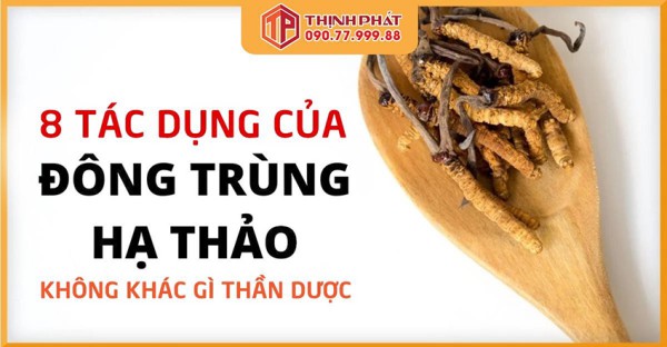 8 tác dụng không khác gì “tiên dược” của đông trùng hạ thảo
