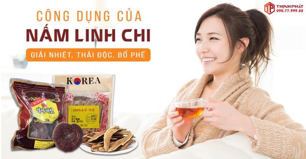Nấm linh chi và công dụng thải độc, bổ phế