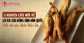 5 nghiên cứu mới nhất về lợi ích của Hồng sâm Hàn Quốc đối với sức khỏe hiện đại