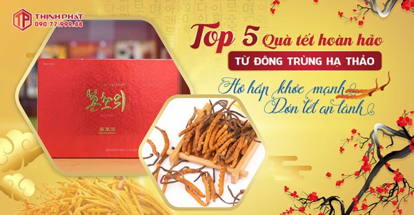 Top 5 quà tết đông trùng hạ thảo tốt cho hô hấp