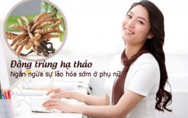 Đông trùng hạ thảo Hàn Quốc có tác dụng gì và có thể hỗ trợ chữa các loại bệnh gì?