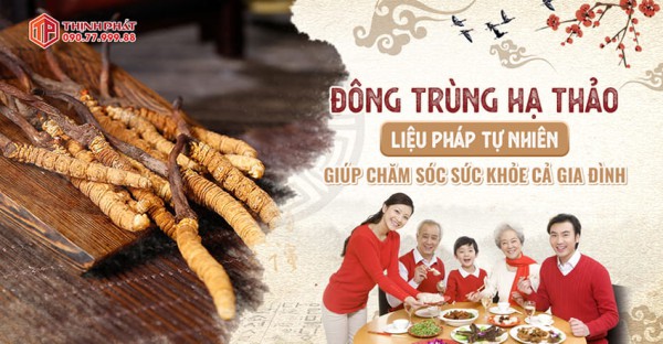 Đông trùng hạ thảo - Liệu pháp tự nhiên giúp chăm sóc sức khỏe cả gia đình