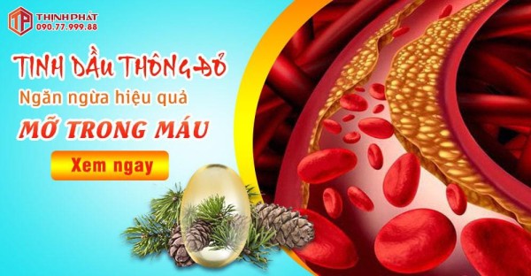 Ngăn ngừa hiệu quả mỡ trong máu với tinh dầu thông đỏ