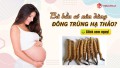 Bà bầu có nên dùng đông trùng hạ thảo để bồi bổ sức khỏe không?