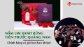 Nấm lim xanh Tiên Phước Quảng Nam giá bao nhiêu, nơi đâu bán nấm lim xanh uy tín?