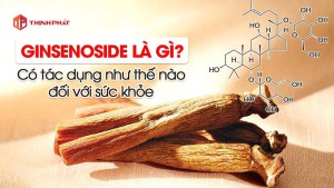 Hoạt chất quý giá Ginsenoside trong nhân sâm Hàn Quốc là gì và có tác dụng ra sao đối với sức khỏe?