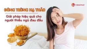 Đông trùng hạ thảo - Giải pháp cho người thiếu ngủ gây đau đầu