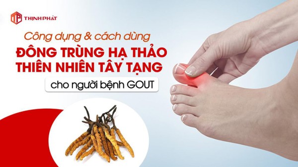 Công dụng và cách dùng đông trùng hạ thảo Tây Tạng cho người bị Gout