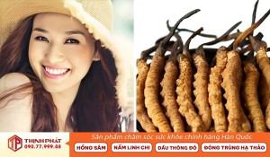 Tác Dụng Của Đông Trùng Hạ Thảo Đối Với 6 Giai Đoạn Quan Trọng Của Phụ Nữ