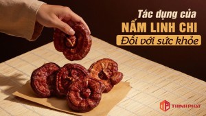 Tác dụng của nấm linh chi đối với sức khỏe của con người