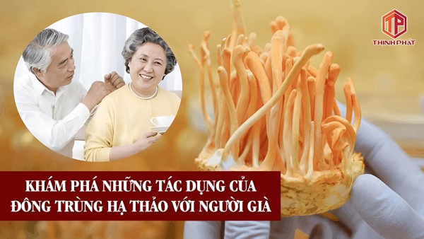 Khám phá những công dụng đặc biệt của đông trùng hạ thảo đối với người cao tuổi
