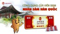 Công dụng của viên đạm nhân sâm Hàn Quốc đối với cơ thể