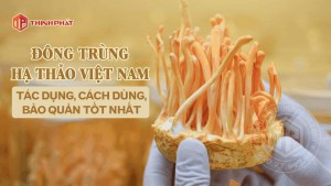 Những tác dụng của đông trùng hạ thảo sợi sấy khô của Việt Nam, cách chế biến, sử dụng và bảo quản đông trùng hạ thảo khô Việt Nam