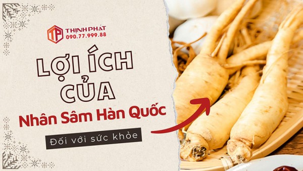 Lợi ích sức khỏe của nhân sâm Hàn Quốc là gì?