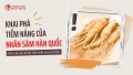 Khai phá tiềm năng của nhân sâm Hàn Quốc đối với sức khỏe thể chất và tinh thần