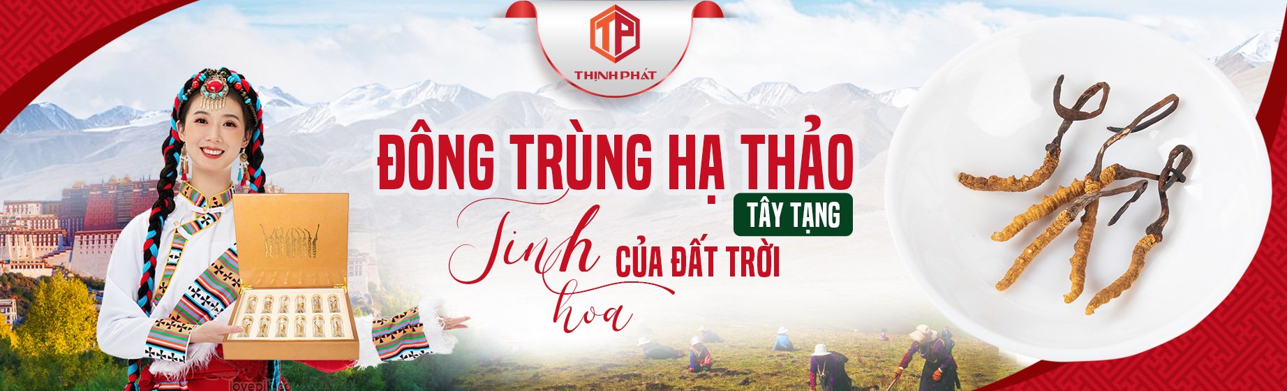 Bột đông trùng hạ thảo