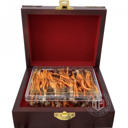 Con đông trùng hạ thảo ký chủ Việt Nam hộp 40 con