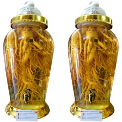 Bình Ngâm Nhân Sâm Hàn Quốc 12 Lít 5 Củ