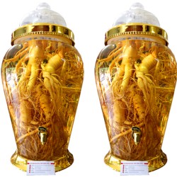 Bình Ngâm Nhân Sâm Hàn Quốc 18 lít sâm lớn nhiều củ