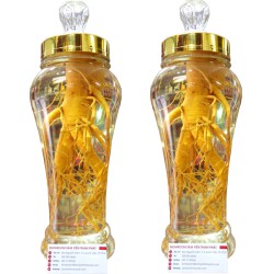 Bình Ngâm Nhân Sâm Hàn Quốc 2,4 Lít 1 Củ Lớn
