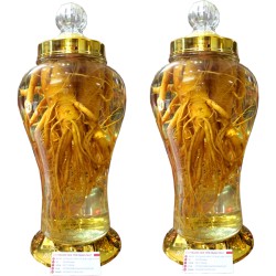 Bình Ngâm Nhân Sâm Hàn Quốc 5 Lít