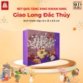 Set Quà Tặng Giao Long Đắc Thủy