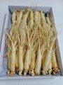 Nhân sâm tươi Hàn Quốc nhập khẩu 20 củ 1 kg
