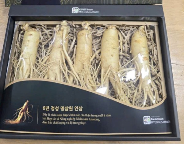 Nhân sâm tươi Hàn Quốc nhập khẩu 5 củ 1 kg