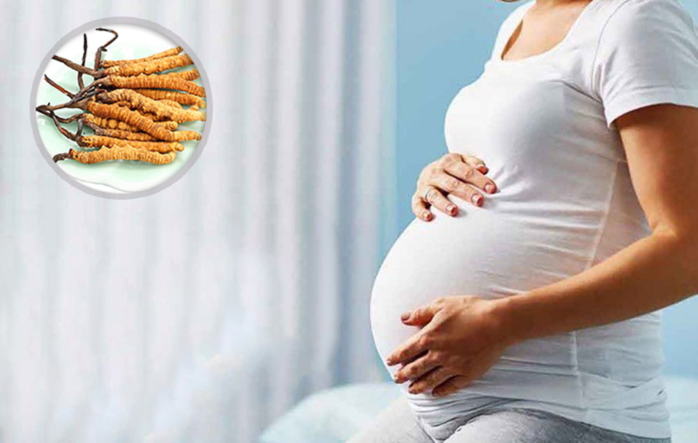 Trong thời gian mang thai, phụ nữ không nên dùng đông trùng hạ thảo
