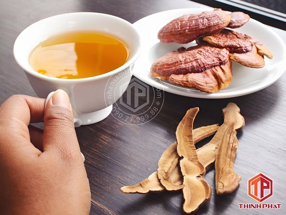 Uống trà linh chi thường xuyên giúp tăng cường hệ thống miễn dịch cho cơ thể