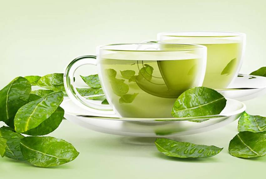 Một tách trà xanh mỗi sáng không chỉ giúp giảm cân mà còn hạn chế bệnh tật hiệu quả