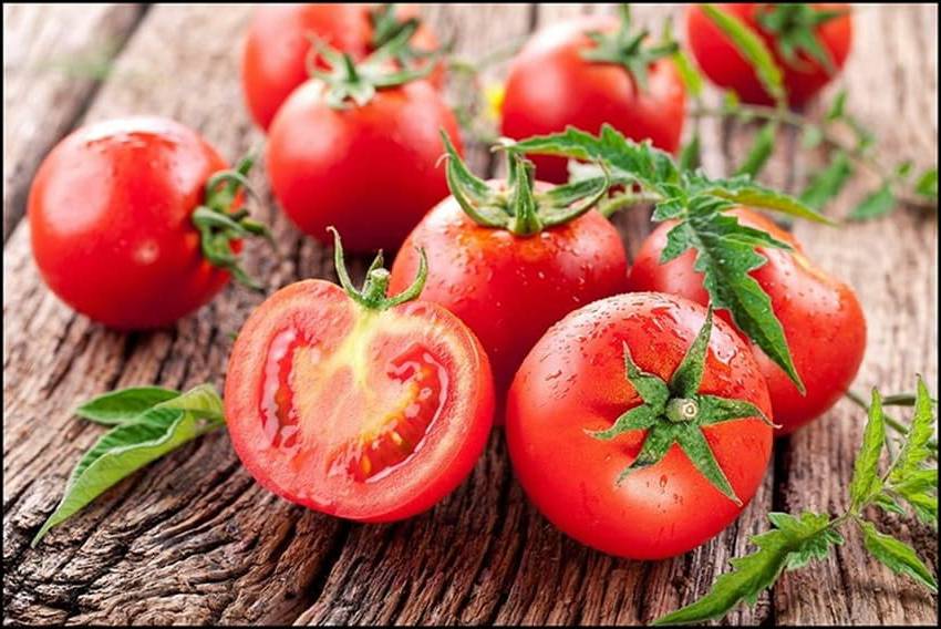 Trong cà chua chứa nhiều lycopene giúp chống lão hóa, tăng tuổi thọ