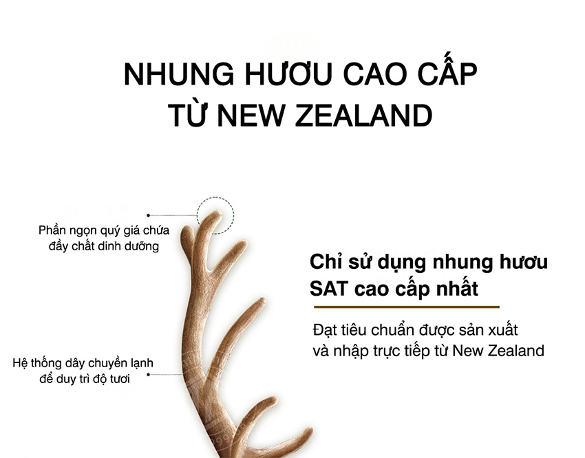 Nhung hươu cao cấp từ New Zealand