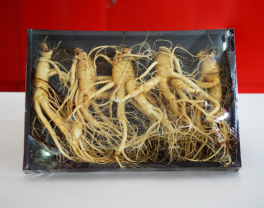 Nhân sâm tươi chính phủ Jung Kwan Jang 5 củ 1 kg