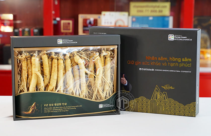 Nhân sâm tươi Hàn Quốc loại 1 nhập khẩu kg 20 củ Nhân sâm tươi Hàn Quốc loại 1 nhập khẩu kg 20 củ