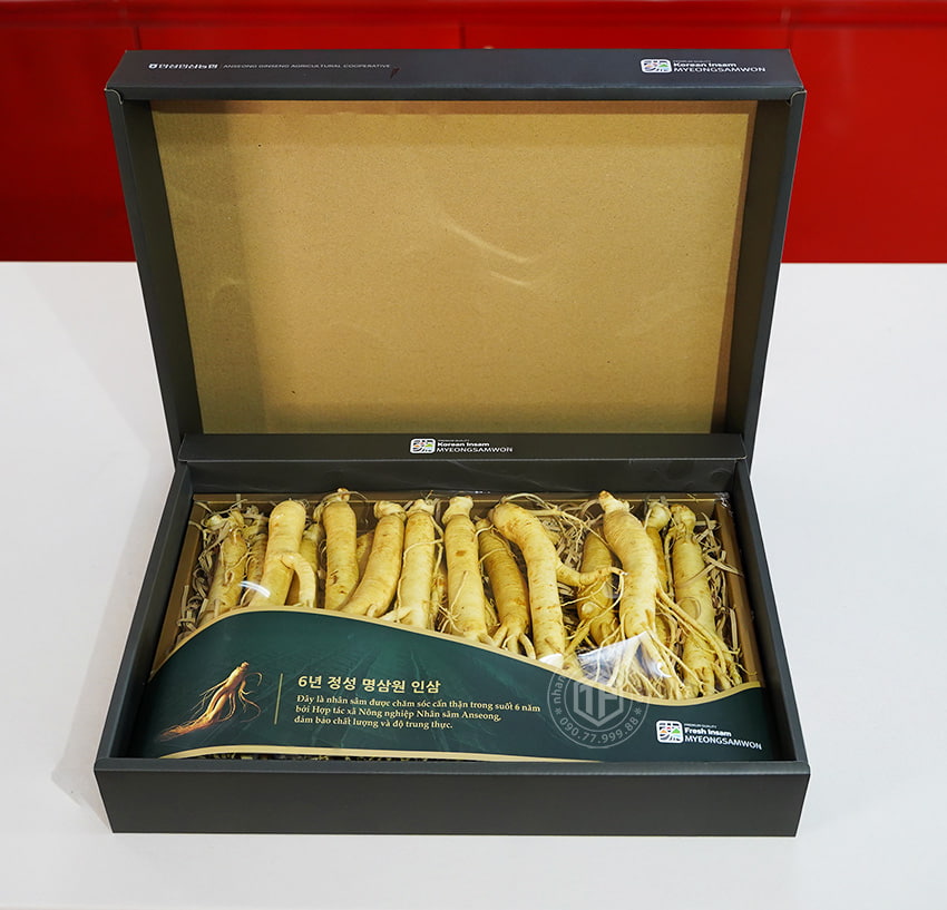 Nhân sâm tươi Hàn Quốc loại 1 nhập khẩu kg 20 củ Nhân sâm tươi Hàn Quốc loại 1 nhập khẩu kg 20 củ
