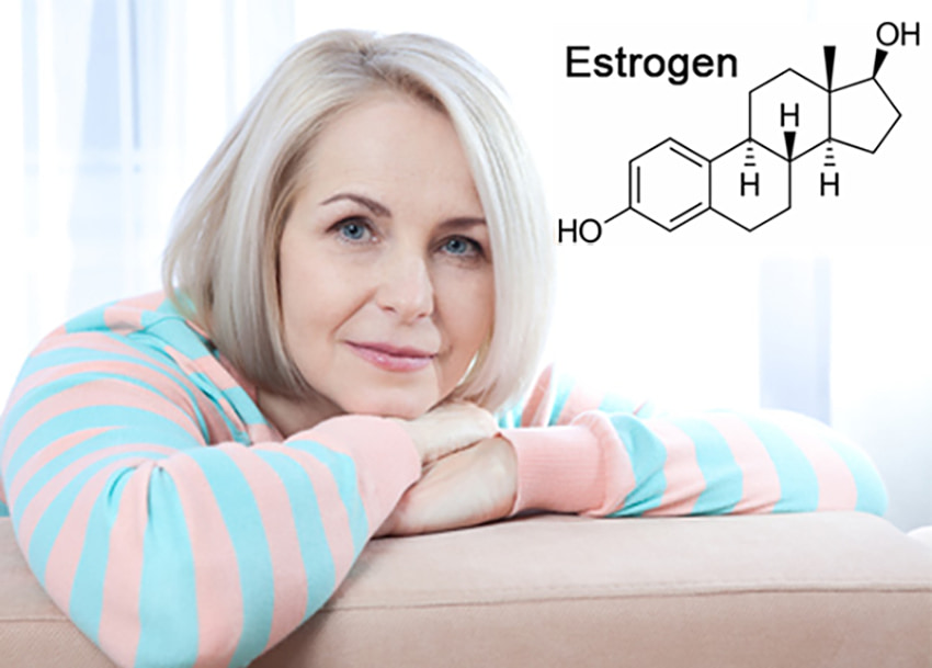 Estrogen là hormone nội tiết đóng vai trò quan trọng đối với cơ thể phụ nữ