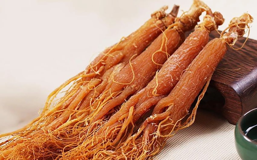 Hồng sâm chứa hơn 30 loại saponin tốt cho sức khỏe