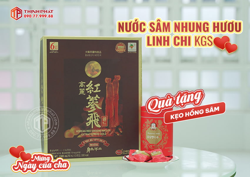 Nước Hồng Sâm nhung hươu linh chi KGS hộp 2 chai 750ml TẶNG 1 kẹo hồng sâm Hàn Quốc 120g