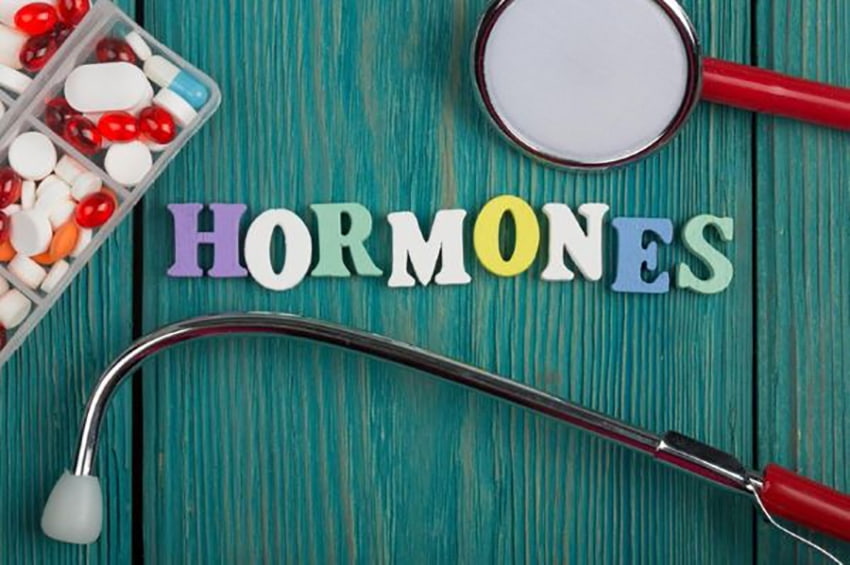 Hormone là thành phần rất quan trọng của cơ thể con người