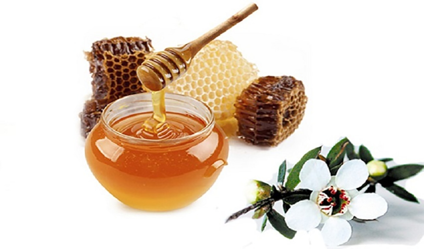 Trong mật ong Manuka có chứa hàm lượng lớn các hoạt chất kháng khuẩn tự nhiên, giúp ức chế vi khuẩn gây bệnh cho đại tràng